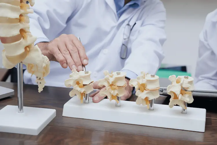 spine doctor